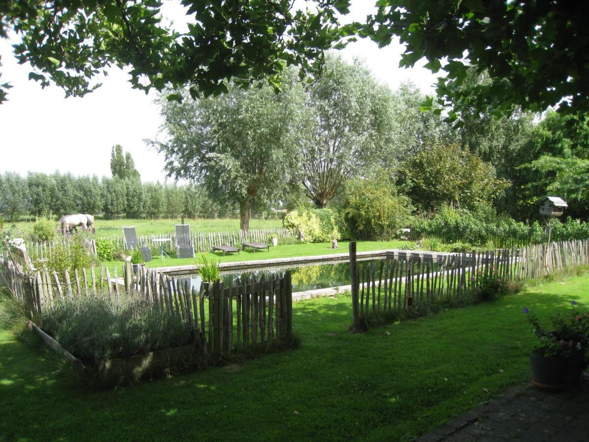 Vakantiehuis In De Velden Met Zwemvijver En Jeu De Boules Baan Lier Exterior photo